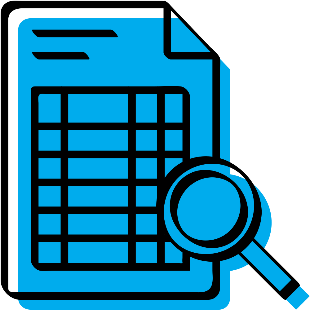 Audit
