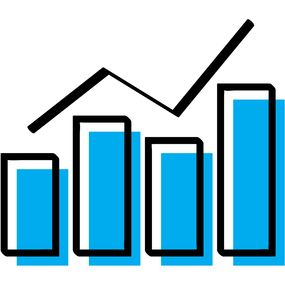 Cash Flow Forecasting